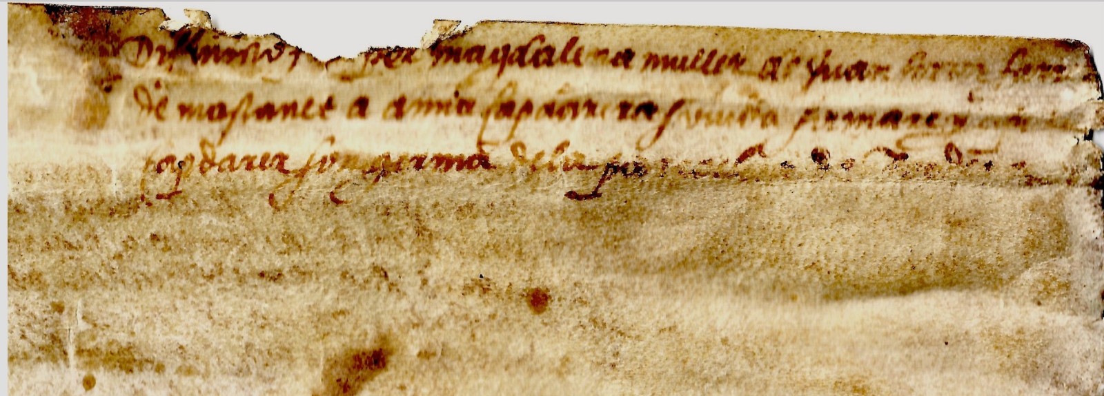 1560 Latin Manuscript Vellum Cantallops Catalonia Family CAPDARER FARRER