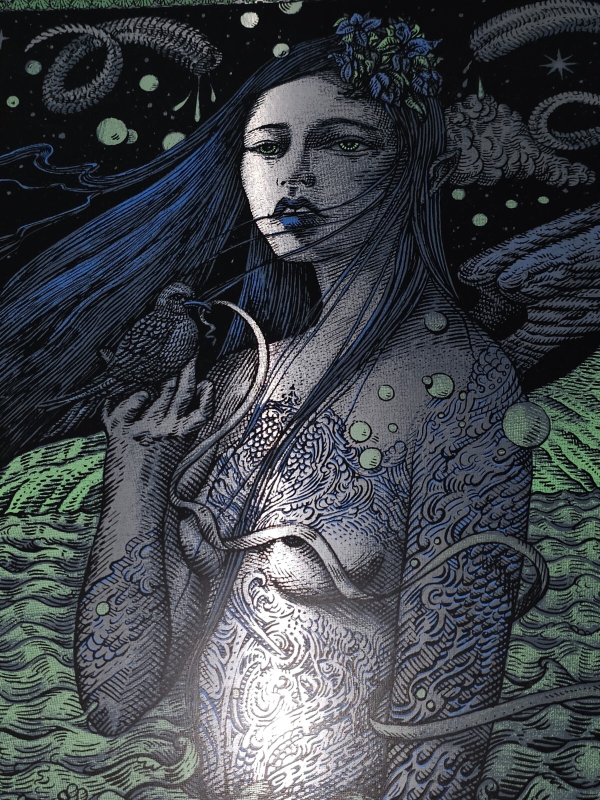 FOIL Variant Widespread Panic David Welker Wantagh New York Signed Poster Print
