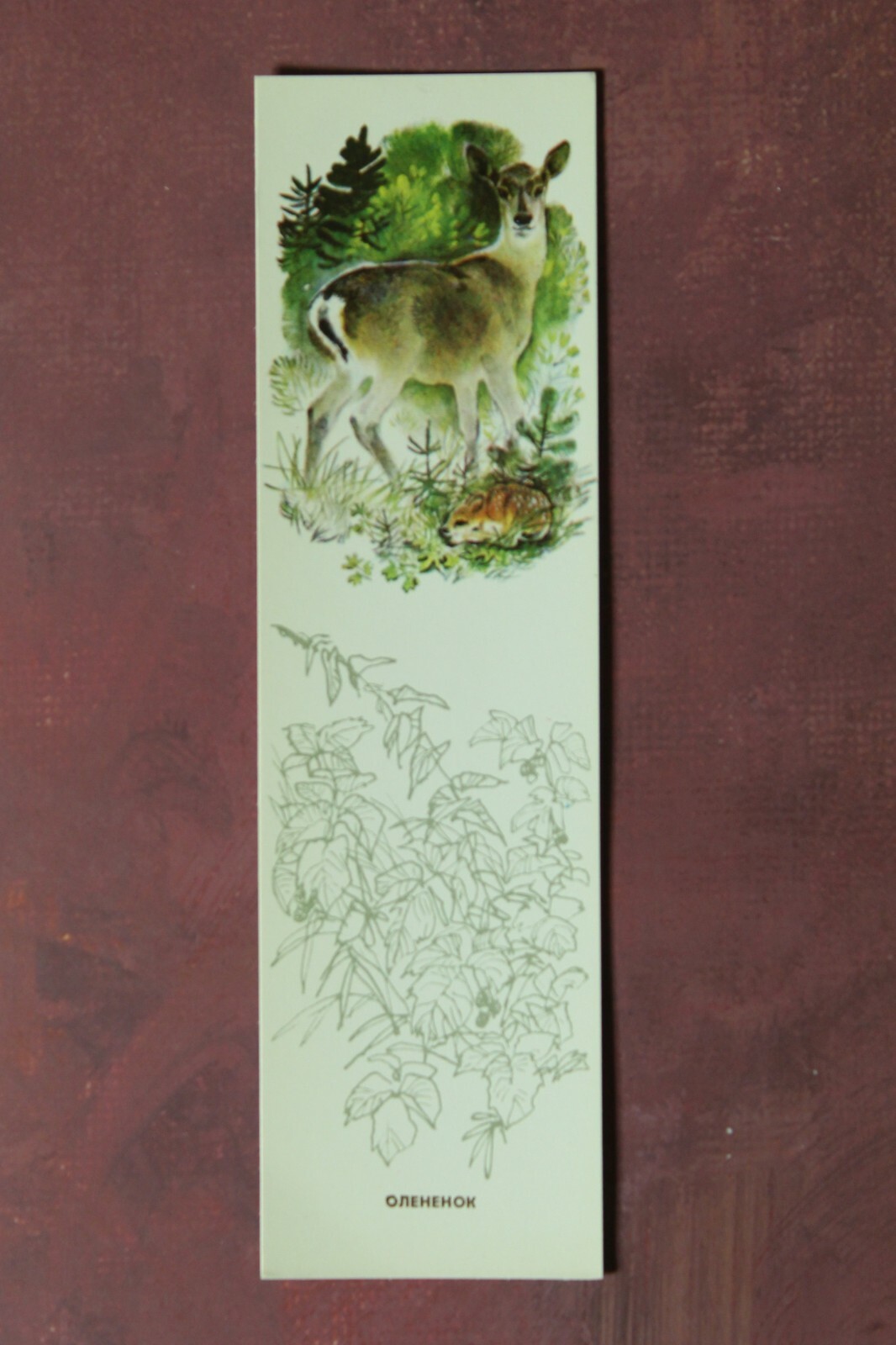 BOOKMARKS Animals in Forest Owl Russian USSR 1983 Full Set 5 Artist Kapustina🦊