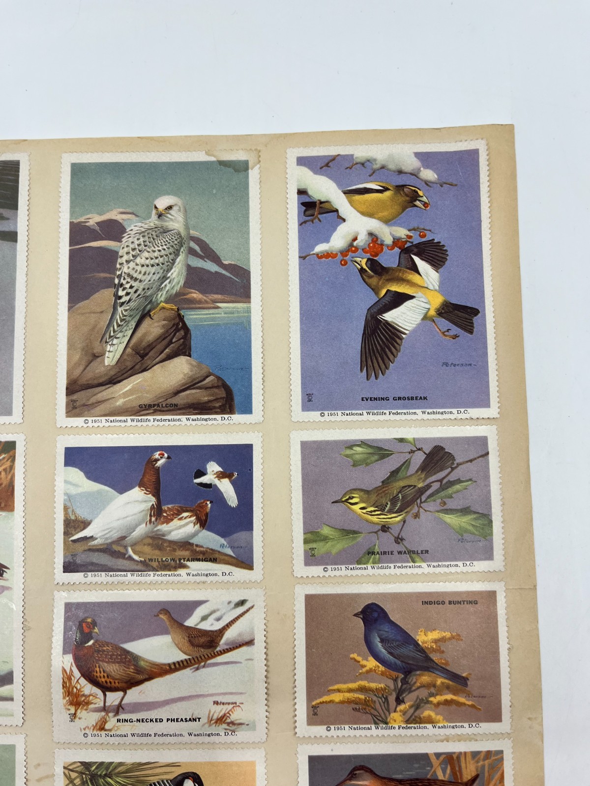 1951 National Wildlife Federation Wildlife Stamp Prints Birds Flowers Stamp Lot