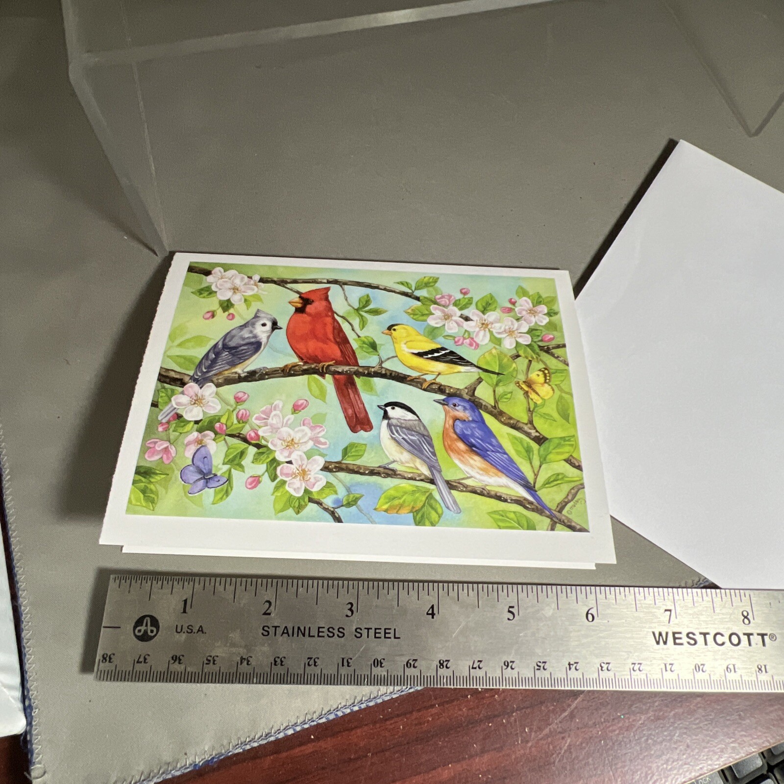 Jane Maday Blank Greeting Card Birds In Spring Cardinal Goldfinch Bluebird