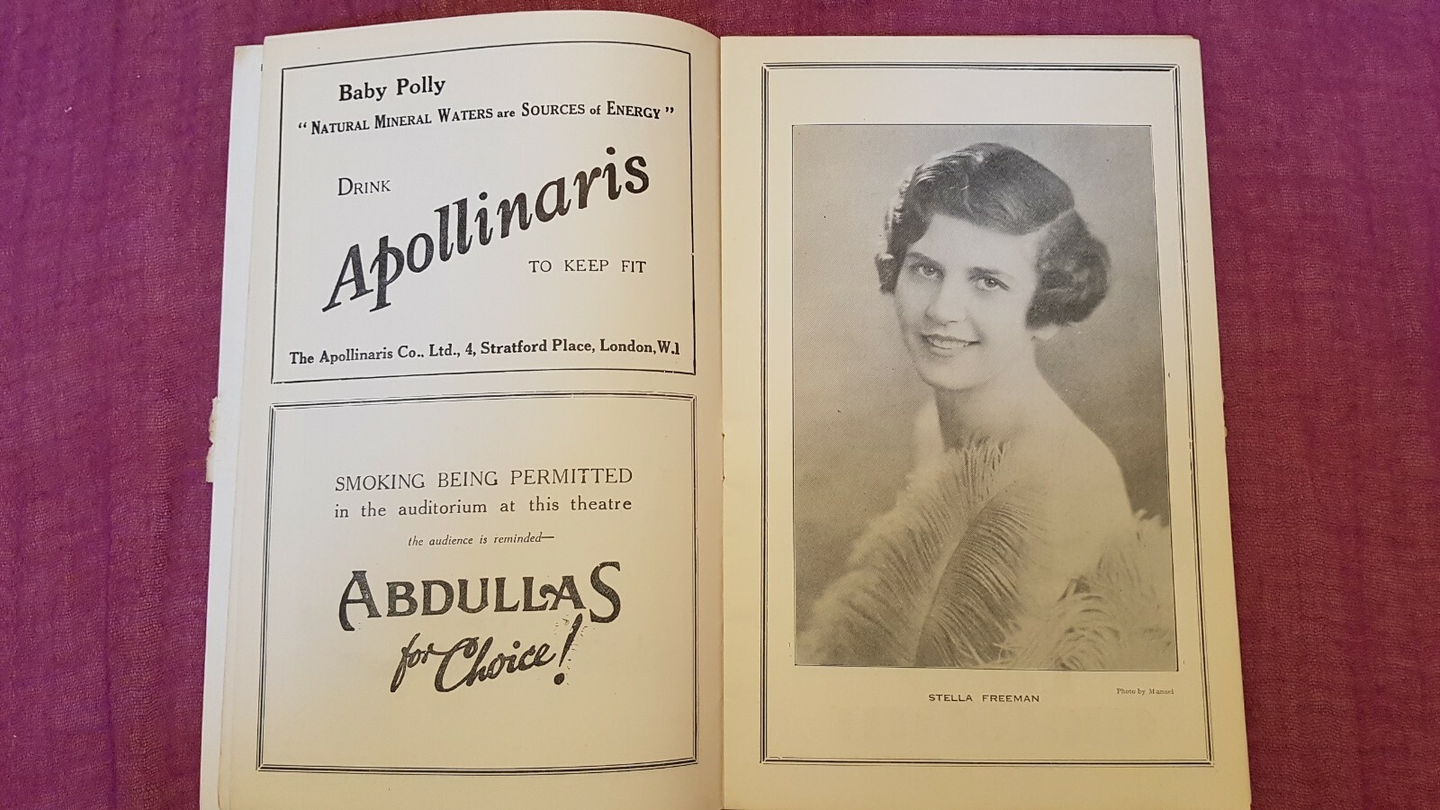 1929 Theatre Programme Her Past – Alice Delysia Paul Cavanagh Violet Vanbrugh