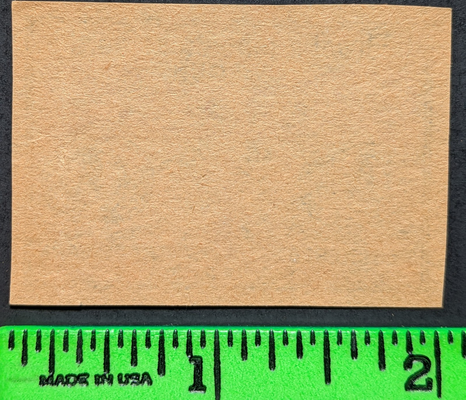 Vintage The Ant Bug Insect Matchbox Label