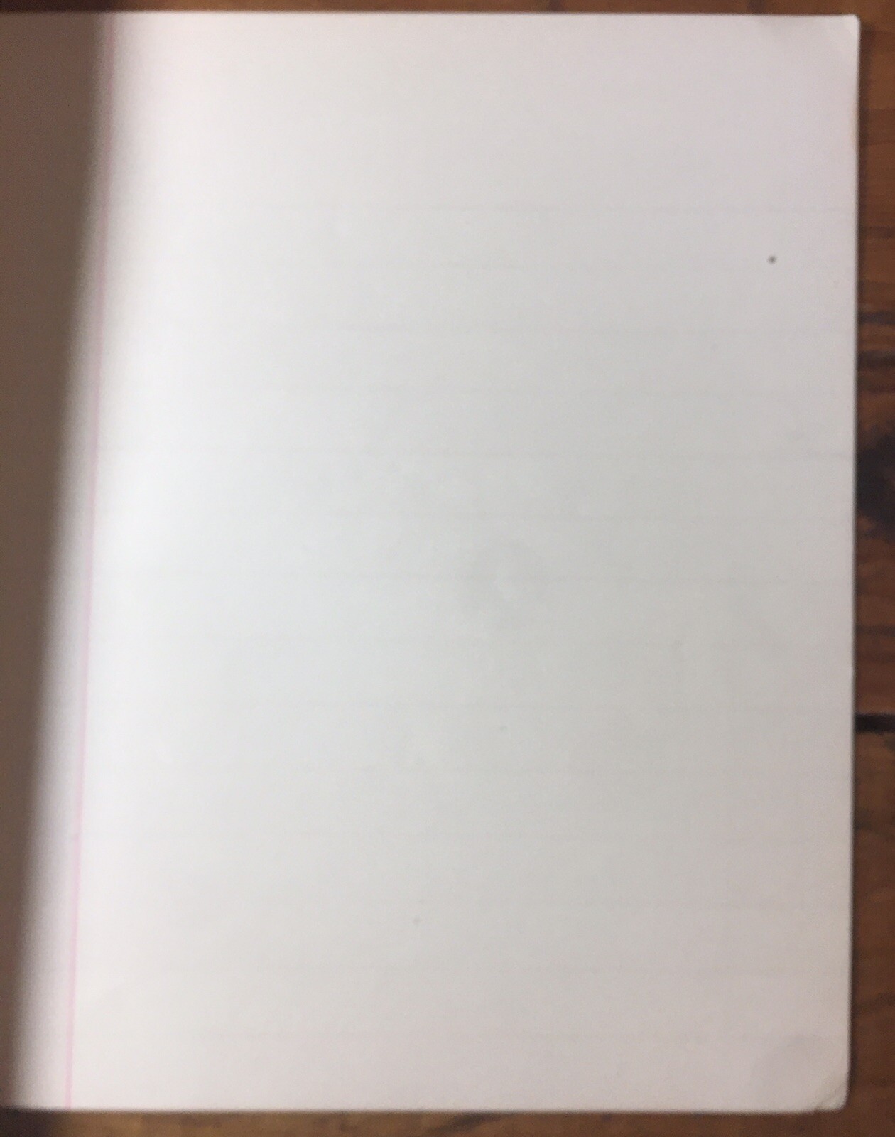 The University Blue Book Antique Lined Notebook
