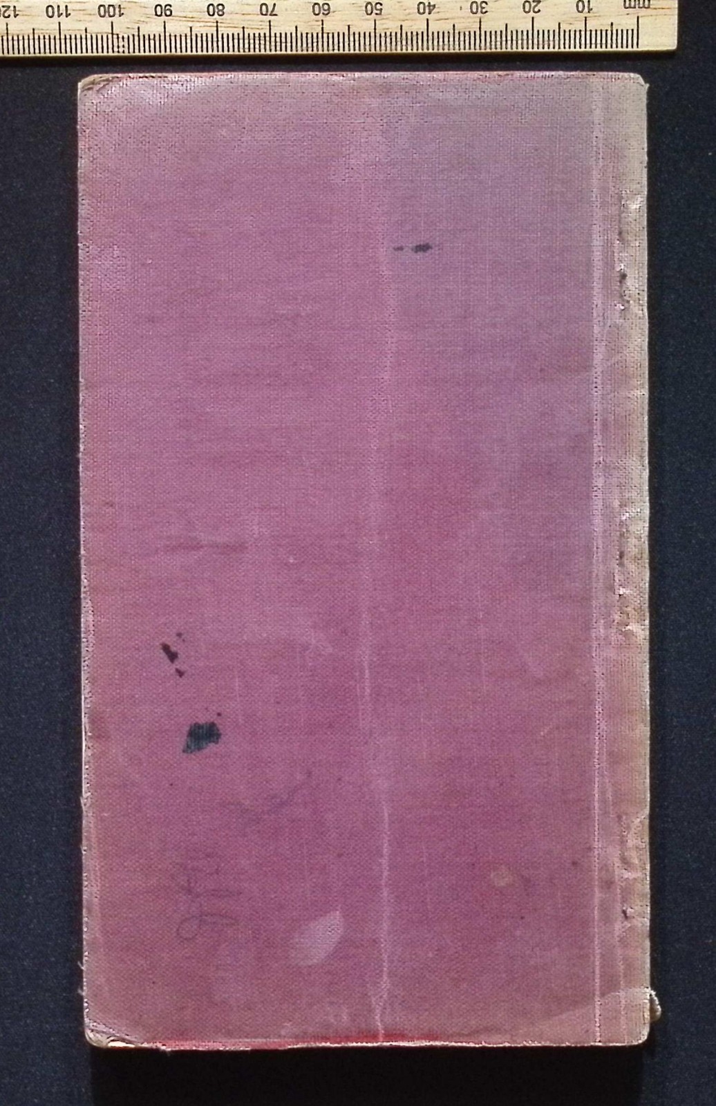 Australian State School Geography Class Book, Dawborn, Revised Programme 1898