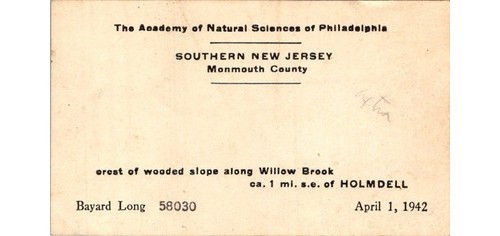 Bayard Long Botany Specimen Label Academy Natural Sciences 1942 NJ Plant