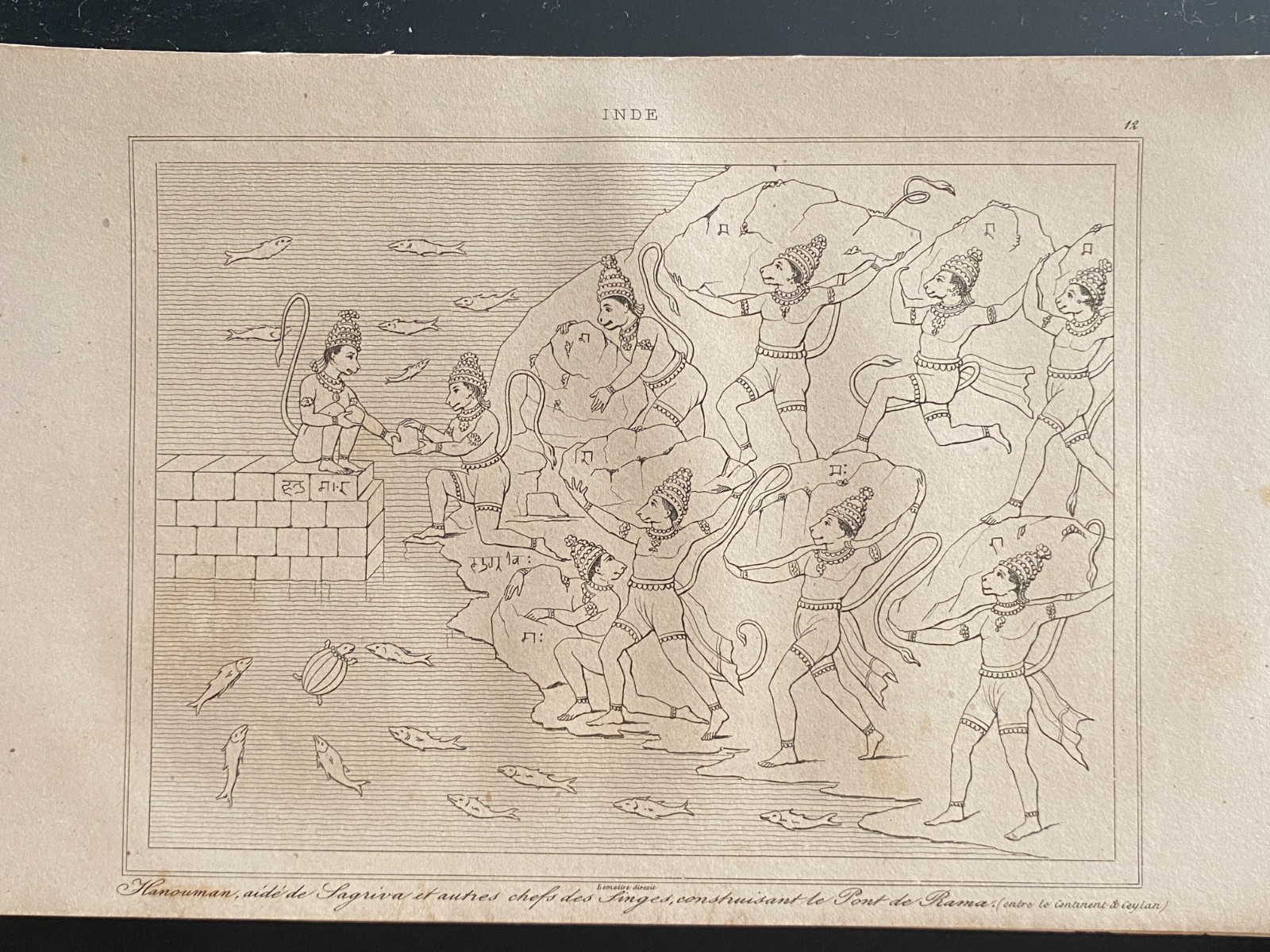 Engraving India 1843 “Hanuman Aide Of Sagriva And Other Monkeys”