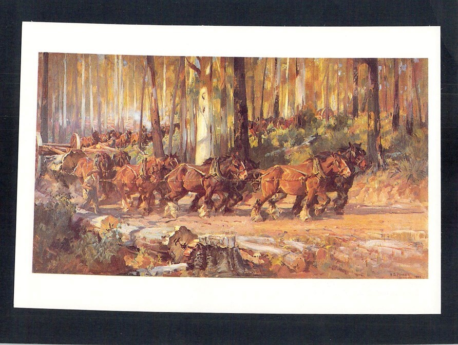 F2364 Australia WA Timber Hauling by Septimus Power art postcard
