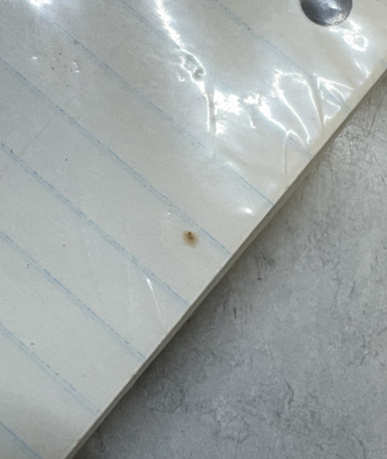 Vintage 1979 Mead Blue Horse School Notebook Ruled Paper 200 Sheets