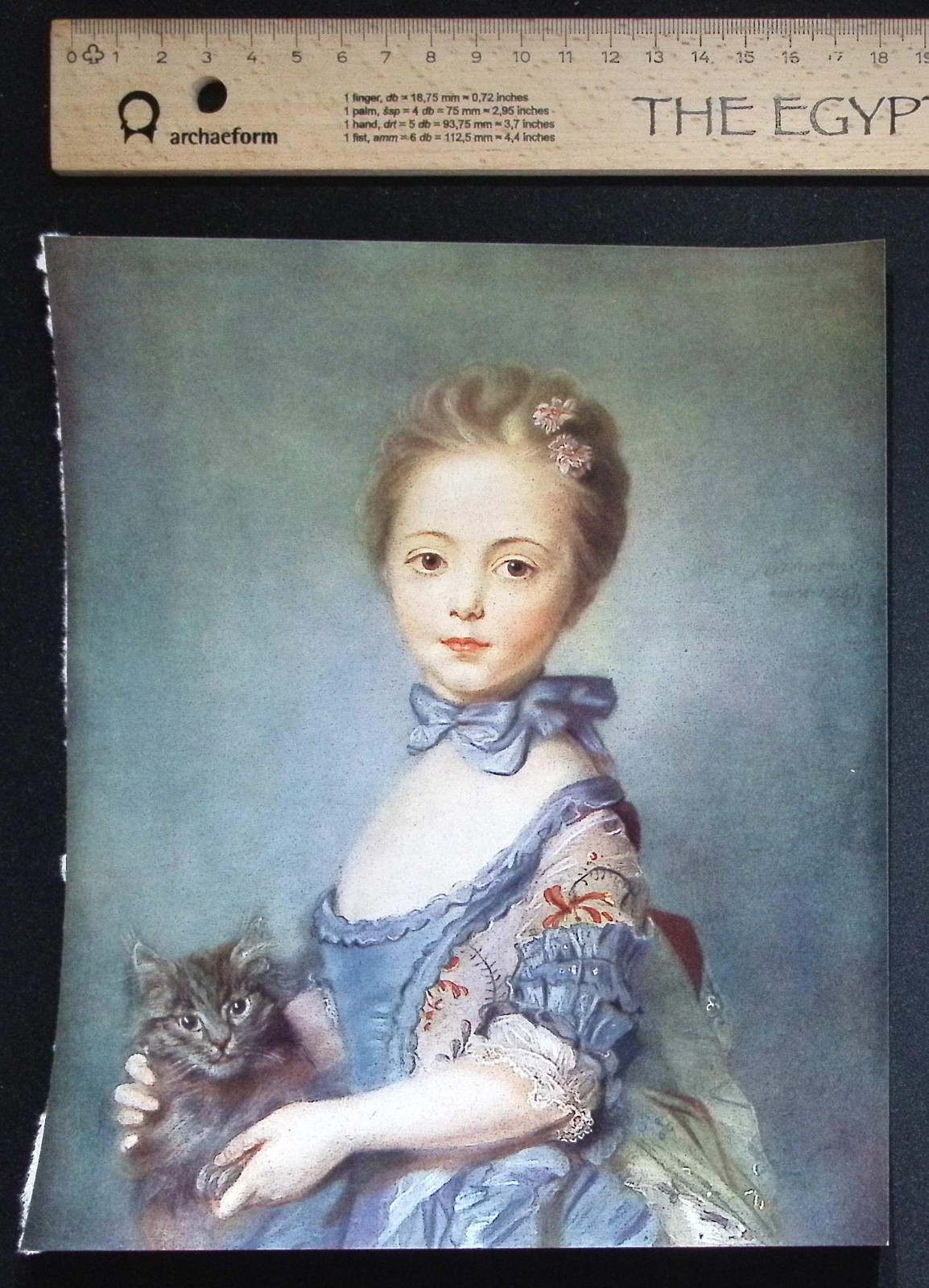 The Girl with a Cat – Jean Baptiste Perronneau – National Gallery French School