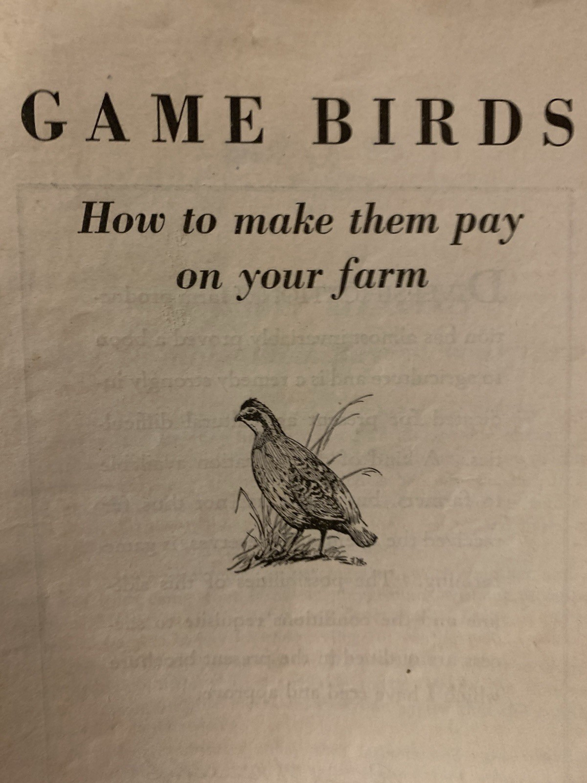 1940s More Game Birds in America Inc How to Make Them Pay On Your Farm Booklet