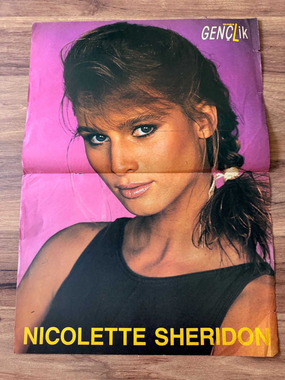 Nicolette Sheridan Rare Vintage Poster Original 1980s TV Actress Pin Up Poster