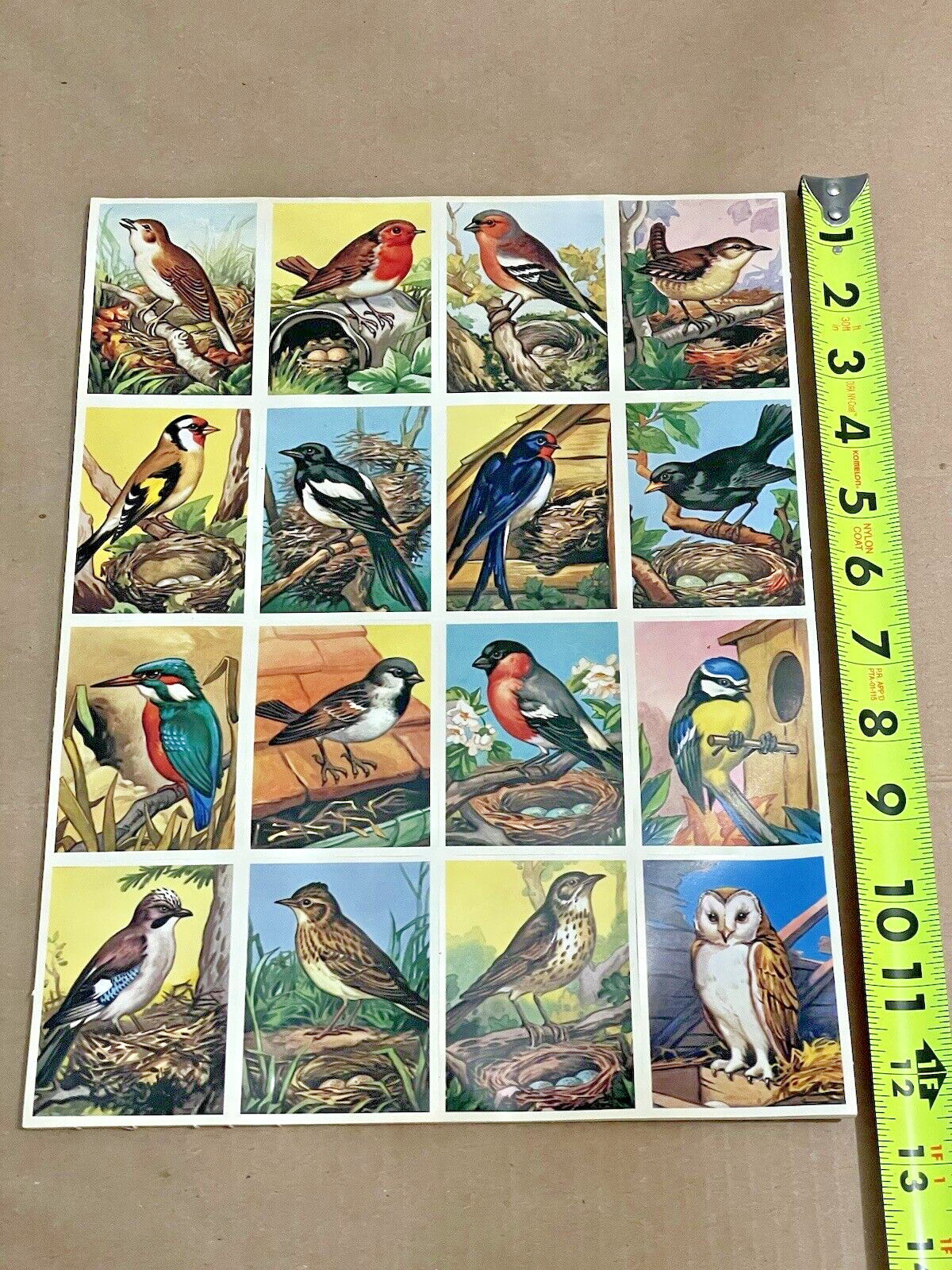 x10 Sheets Vintage England Embossed Cards Scrap Die Cut – Birds MLP