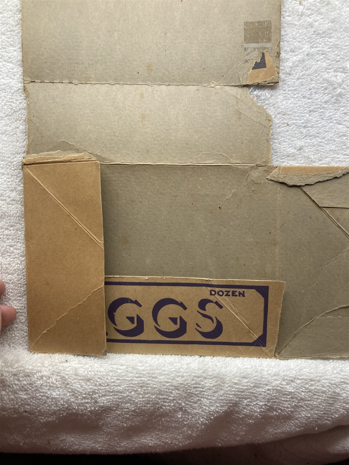 1940’s 1950’s Oakland Eggs Carton California Pittsburgh PA Vtg
