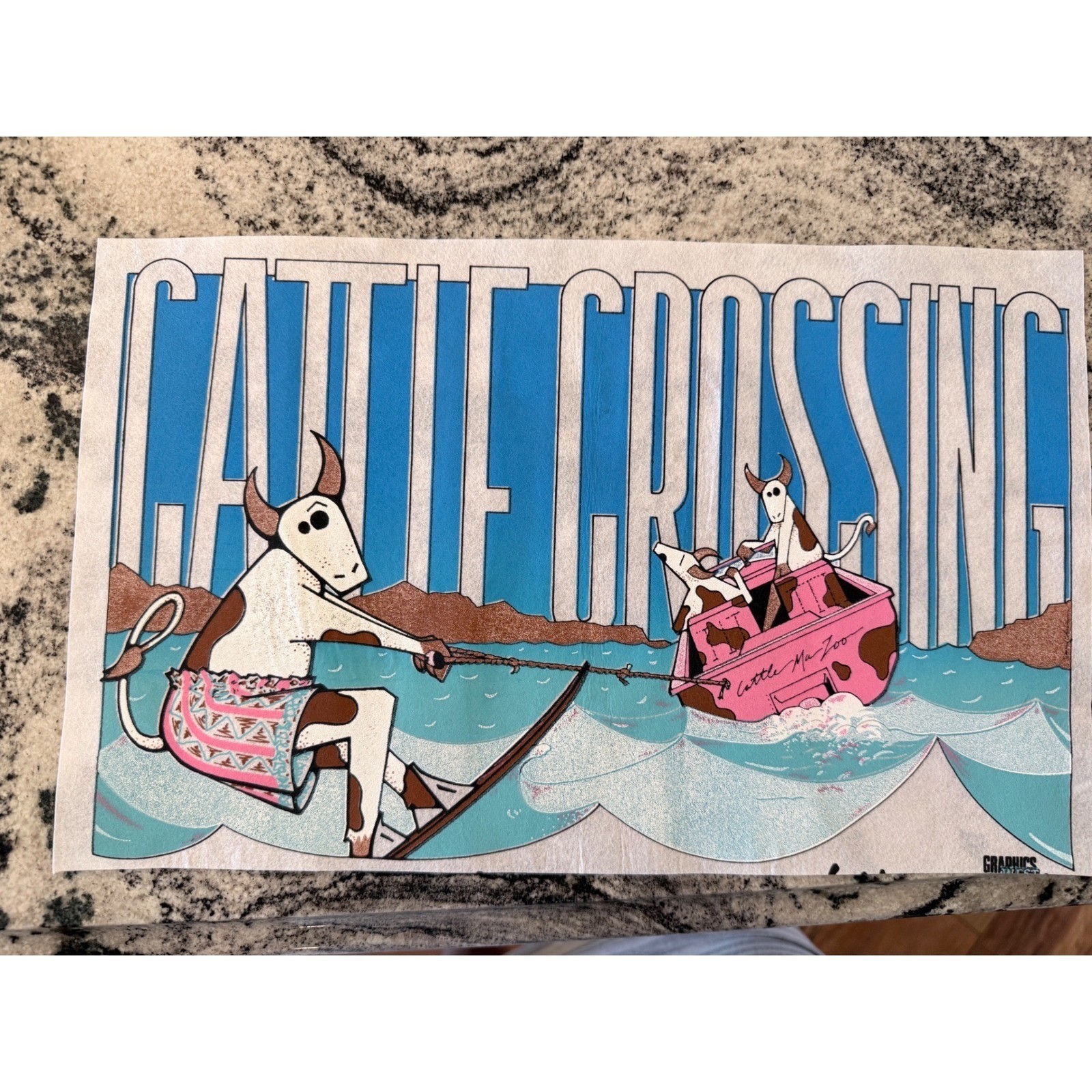 Vintage 80s Graphics West Surf Beach Heat Transfer Lot Pacific Wave California