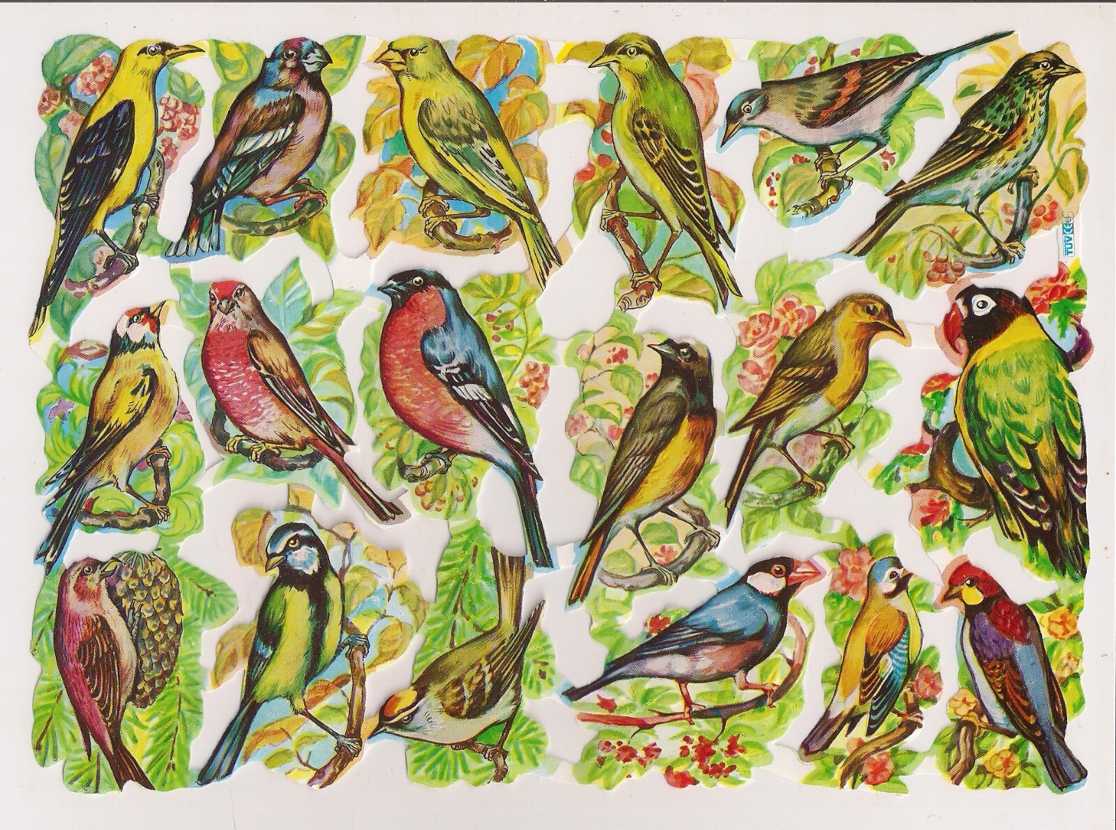 German Embossed Vintage Style Scrap Die Cut – Beautifully Colored Birds EF7144