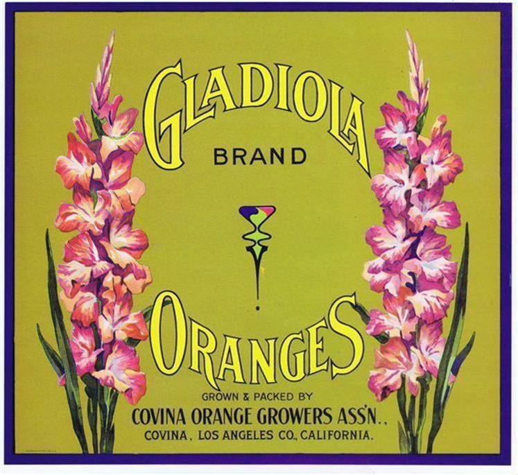 Gladiola, 1920’s antique vintage California Fruit Orange Crate Label Covina