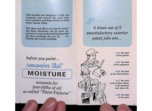 Sears Paint Peeling? Hidden Moisture Home Guide 1950s #28 Walls Plaster