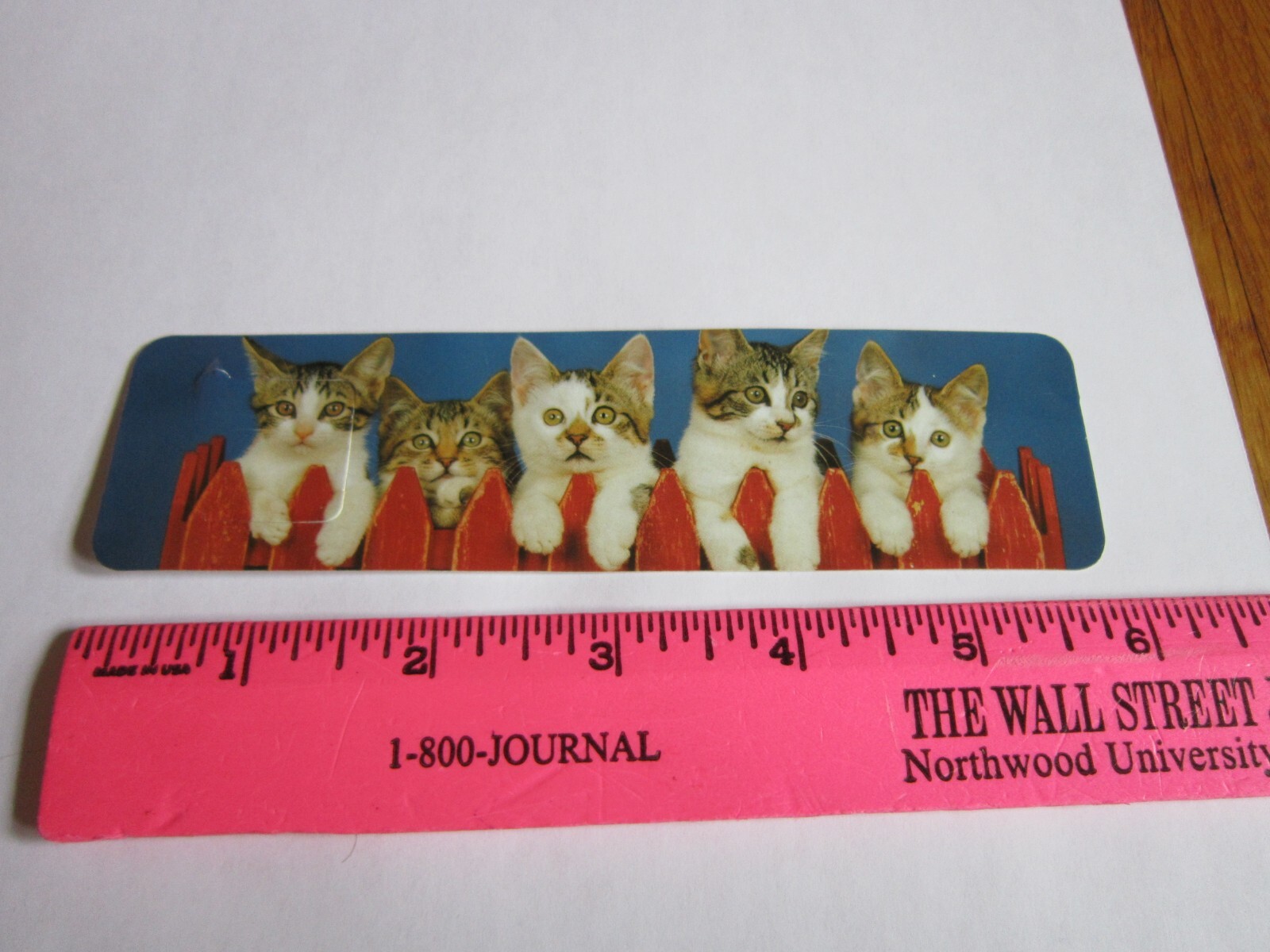 Vintage Bookmark Kittens 5 on fence Ron Kimball 1990’s photo Antioch Tabby Cat