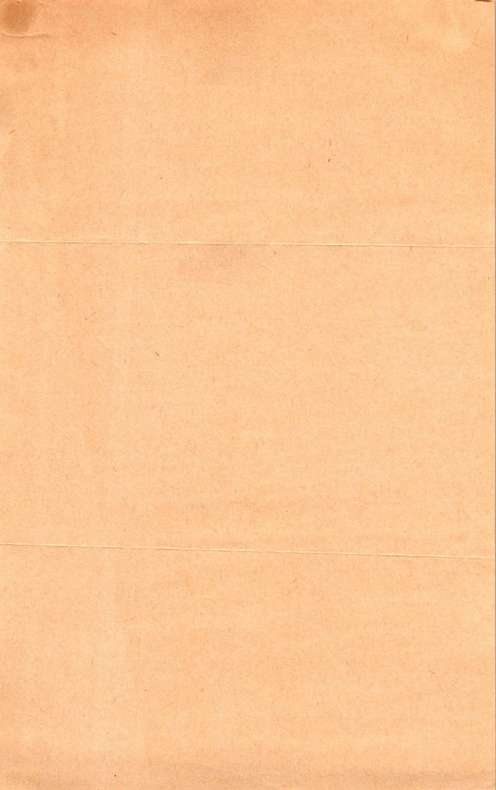 WWII 1945 Philippines Letter to Navy SB2C TBF Airman, Combat & Mail Delay, 2pp