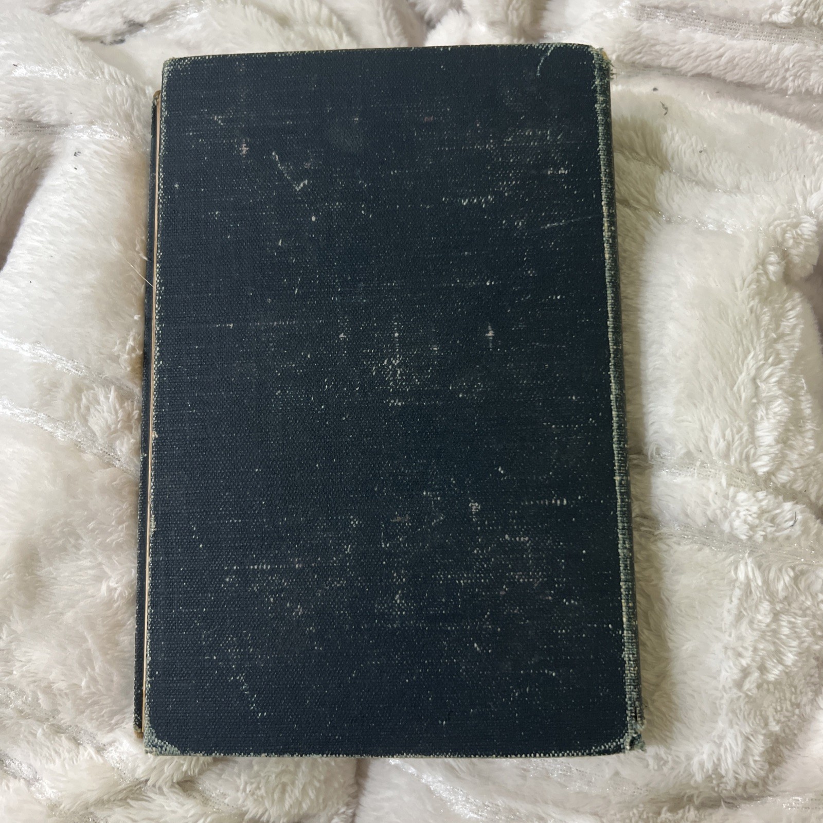 LOVE IN IDLENESS A Tale of Bar Harbor Maine 1894 1st Edition Illustrated