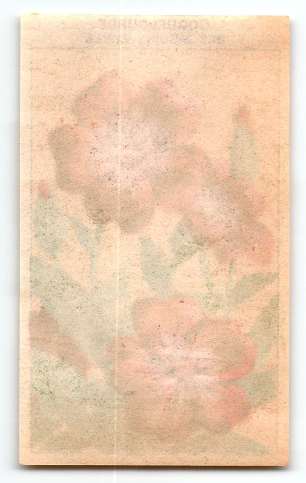 1920’s Flower Art Print COQUELOURDE Lithograph Original Vintage For Seed Pack
