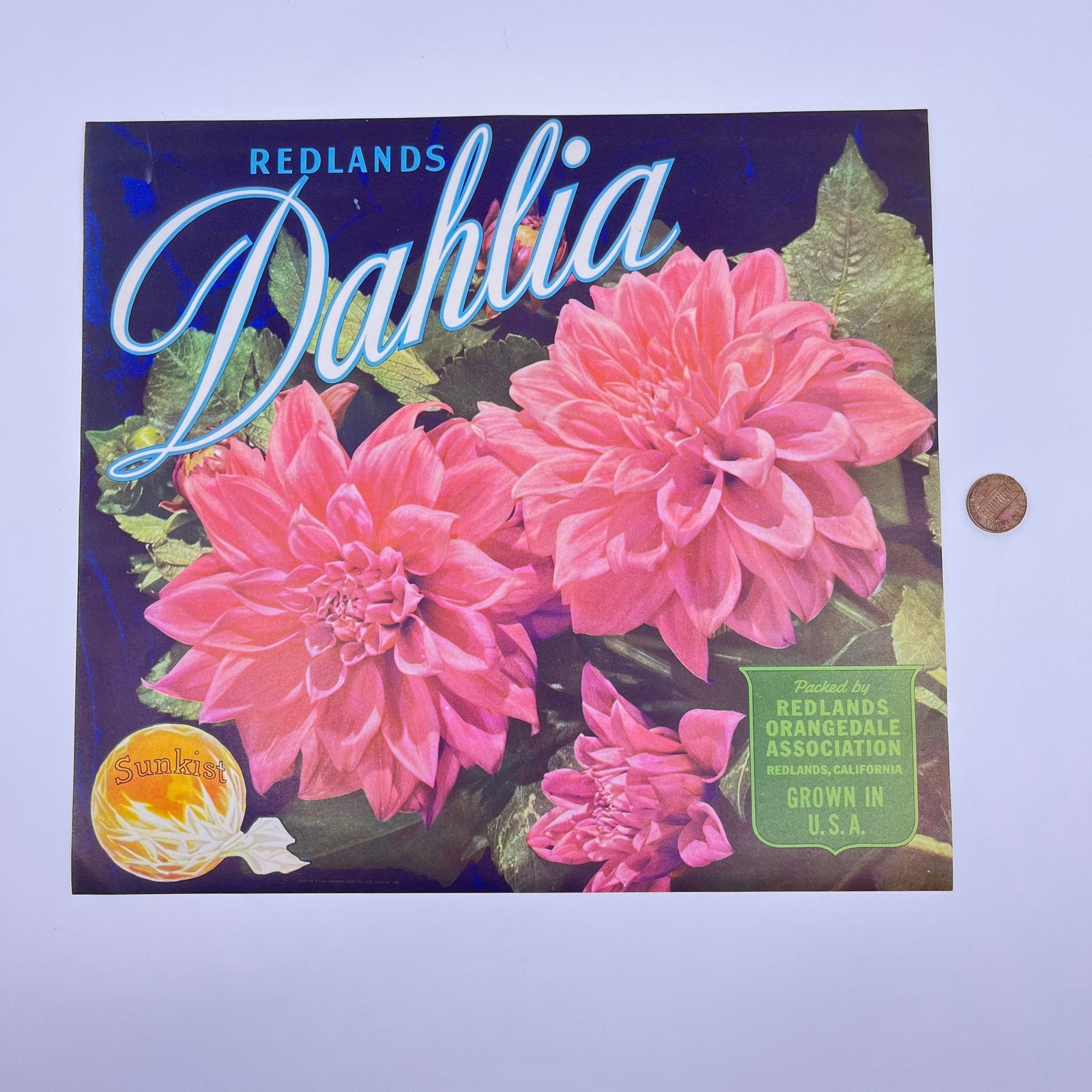 Dahlia Sunkist Orange Crate Label Redlands Orangedale Association CA FL3