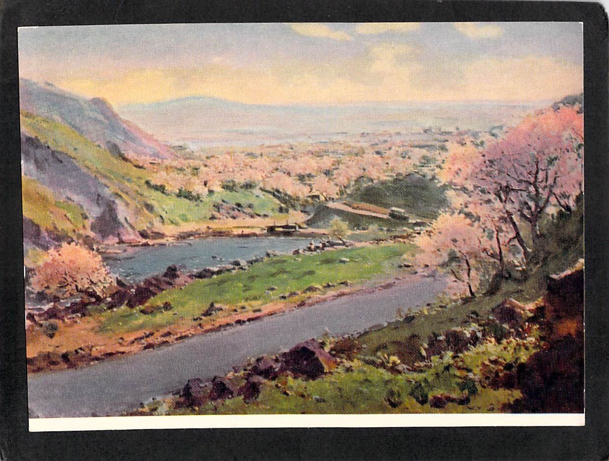 B6106 Art Russia TAHCbIkBaeb Poa Tawkent postcard