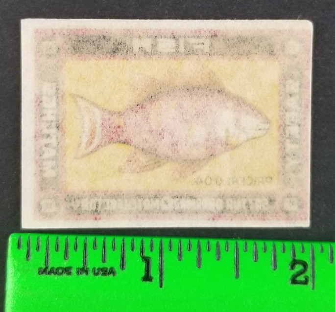 Vintage Ocean Fish Safety Matches Matchbox Label