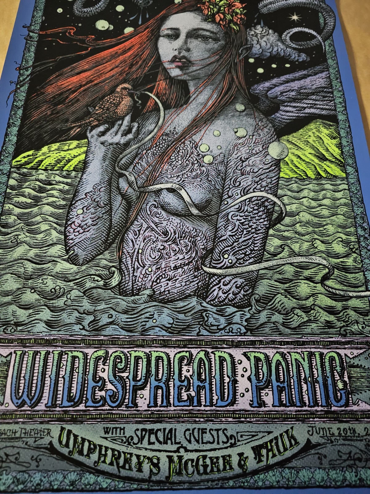 Widespread Panic David Welker Wantagh New York Signed Poster Screen Print # NY