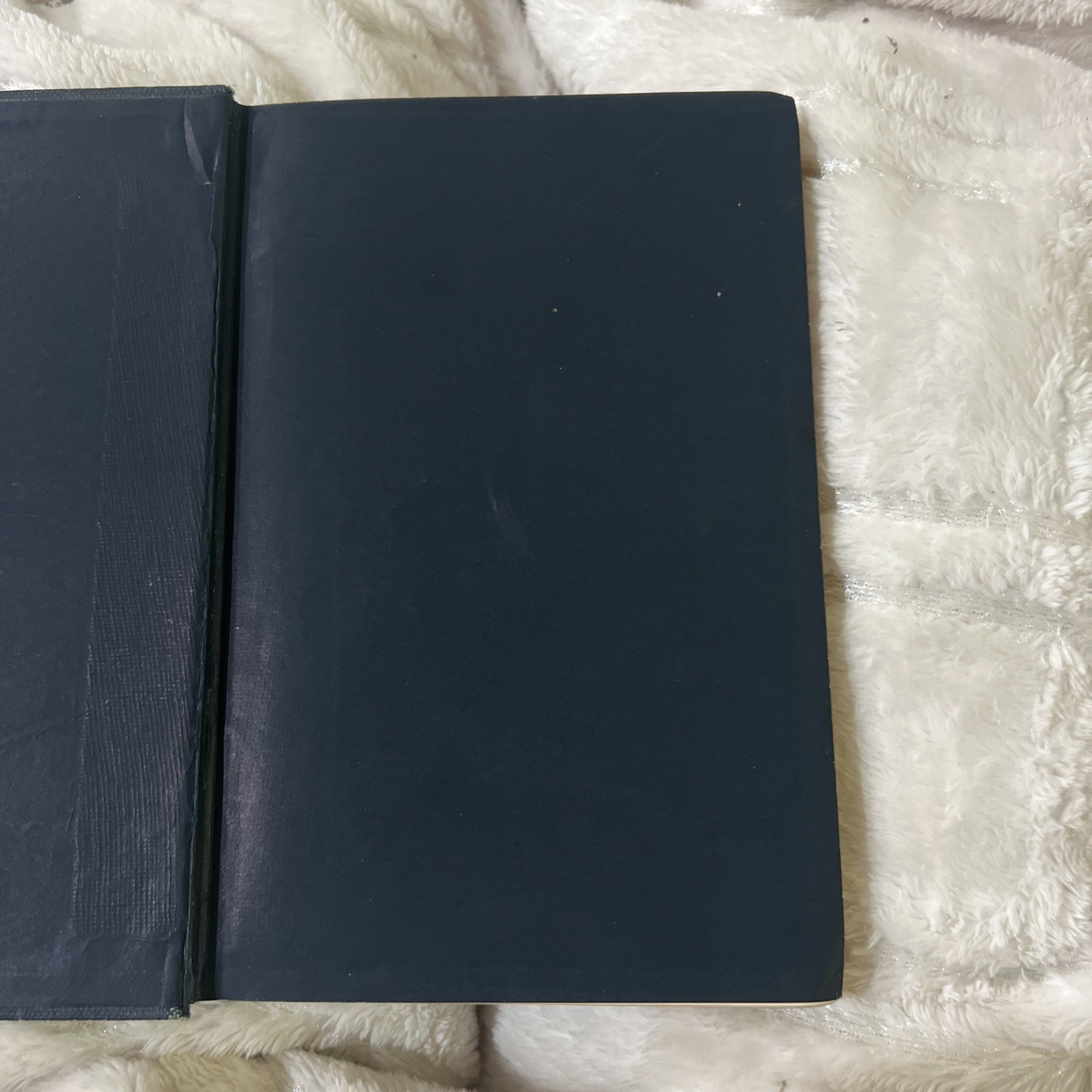 LOVE IN IDLENESS A Tale of Bar Harbor Maine 1894 1st Edition Illustrated