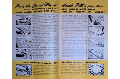 Sears Tips to Trappers Booklet Johnny Muskrat Fur Show 1953-54 Manual Hunting
