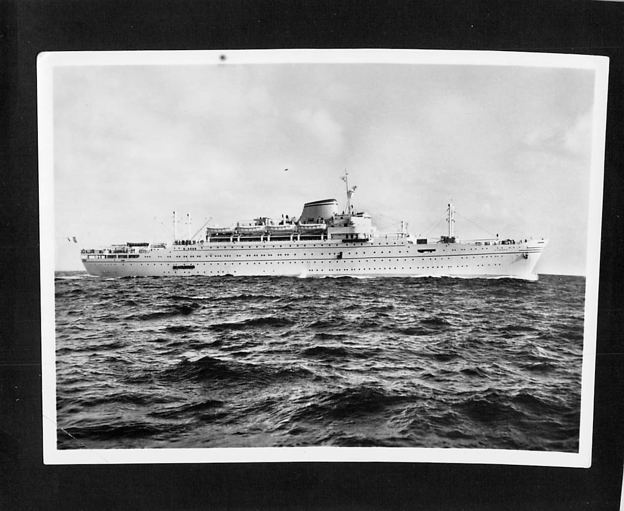 M1111ski Transport Ship MN Europa Lloyd Triestino postcard