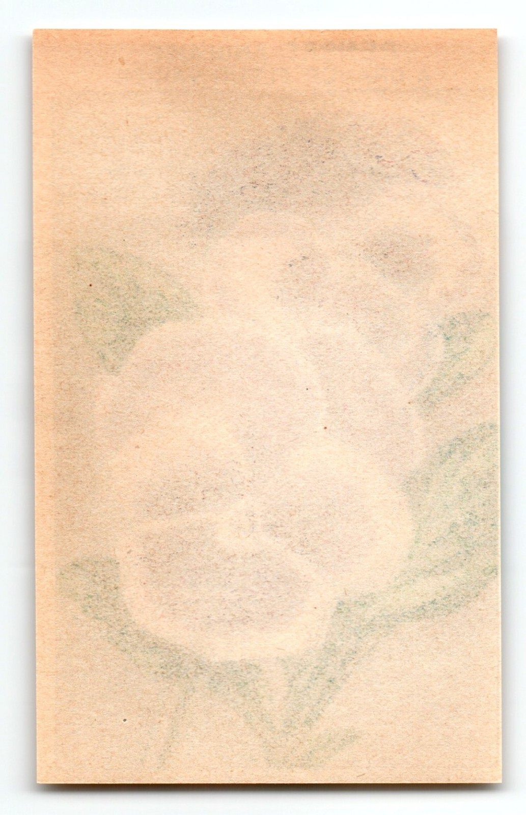 1920’s Flower Art Print PENSEE ANGLAISE Lithograph Original Made For Seed Pack