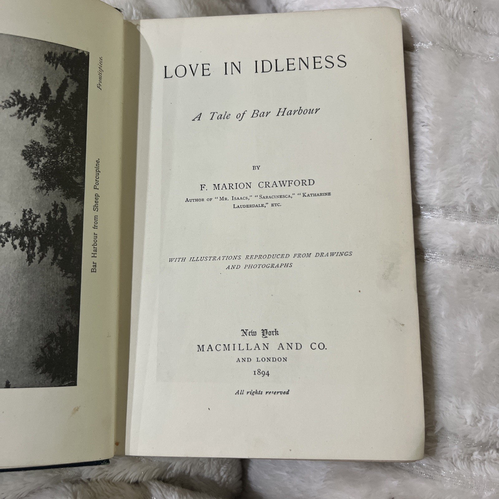 LOVE IN IDLENESS A Tale of Bar Harbor Maine 1894 1st Edition Illustrated