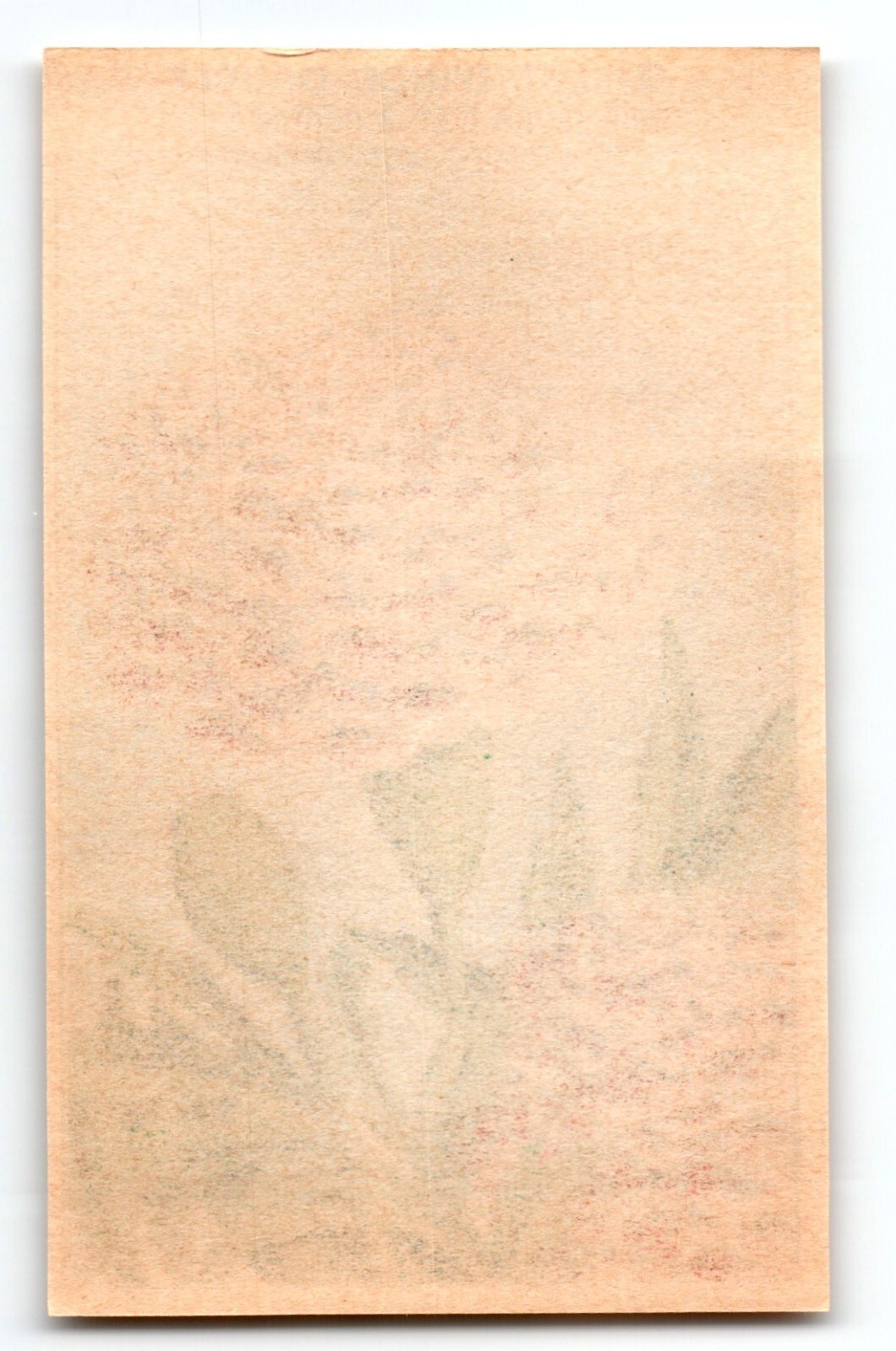 1920’s Flower Seed Art Print OEILLET D’INDE Lithograph Original Vintage Unused