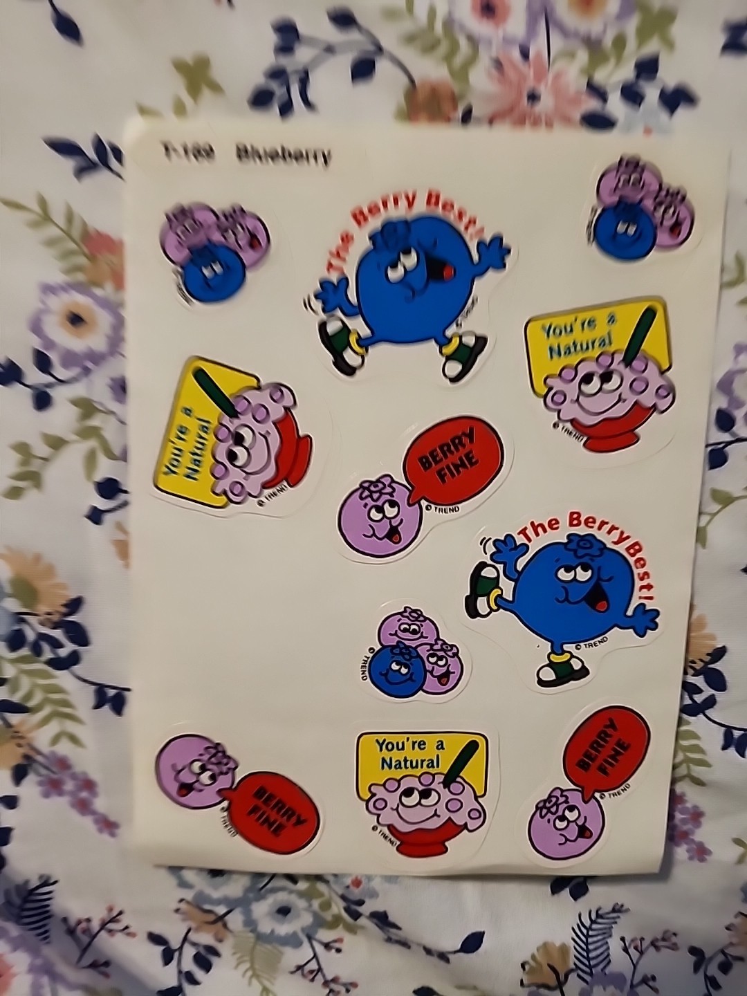 Vintage TREND Scratch & Sniff Sticker Sheet Die Cut BLUEBERRY Scent RARE