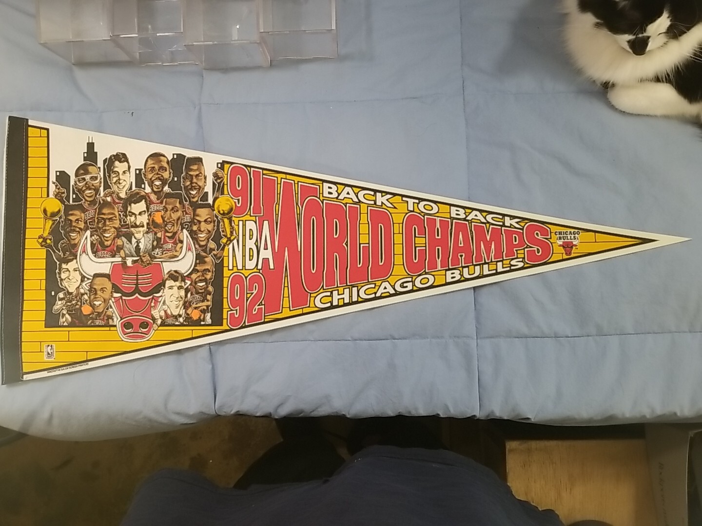 1992 Back to Back Champions Chicago Bulls Basketball Pennant Team Picture Jordan