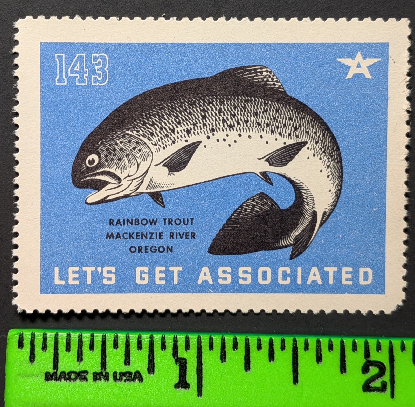 Vintage Rainbow Trout Mackenzie River Oregon Poster Stamp