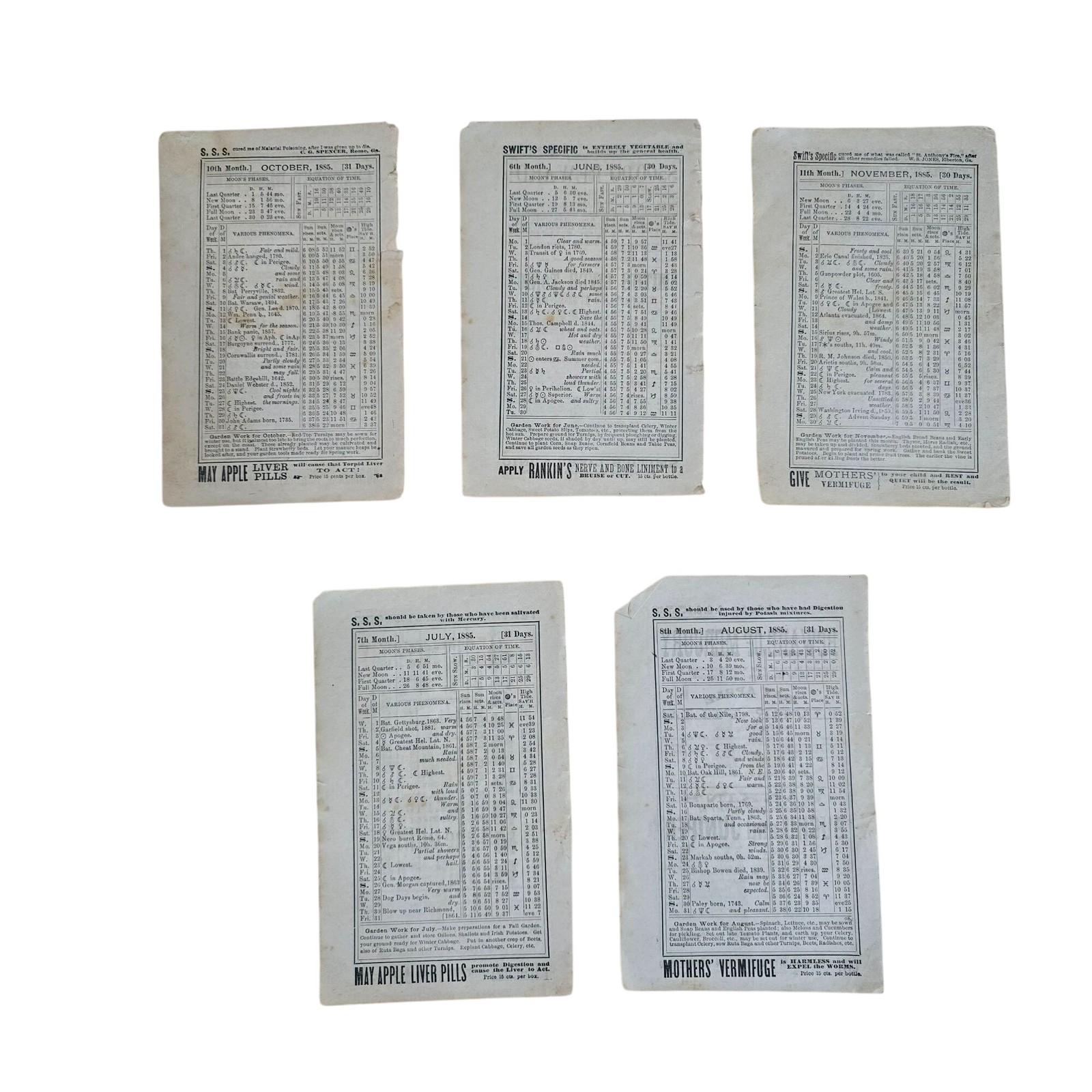 Antique 1885 Patent Medicine Advertising Lot Victorian Ephemera S.S.S Almanac