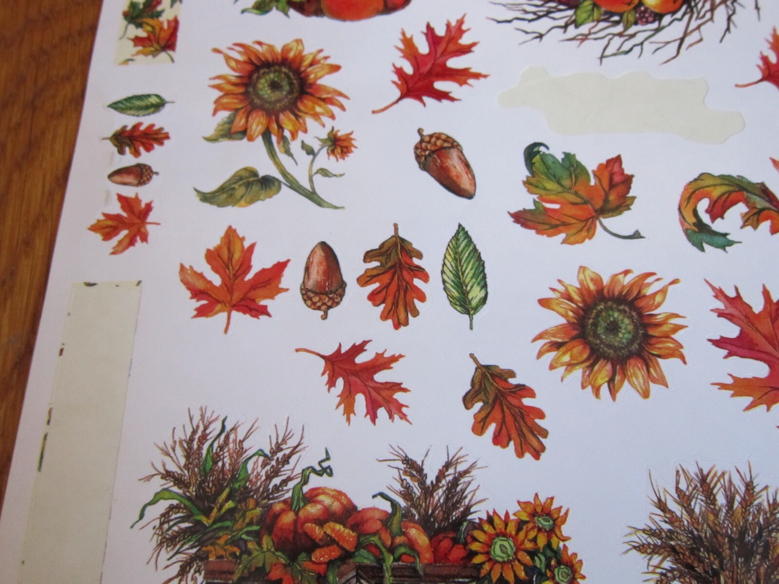 PSX Design Stickers Autumn Fall Color Leaves Acorns 2001 ONE SHEET PartiallyUsed