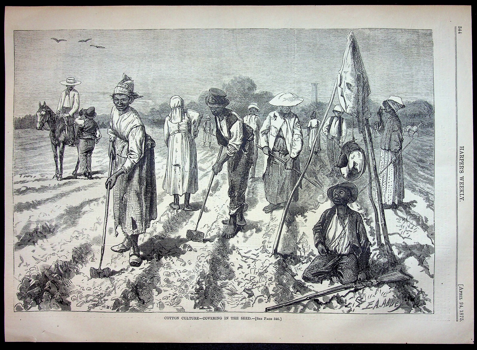Black Americana Cotton Culture Print Harper’s 1875 Home Life Covering Seed