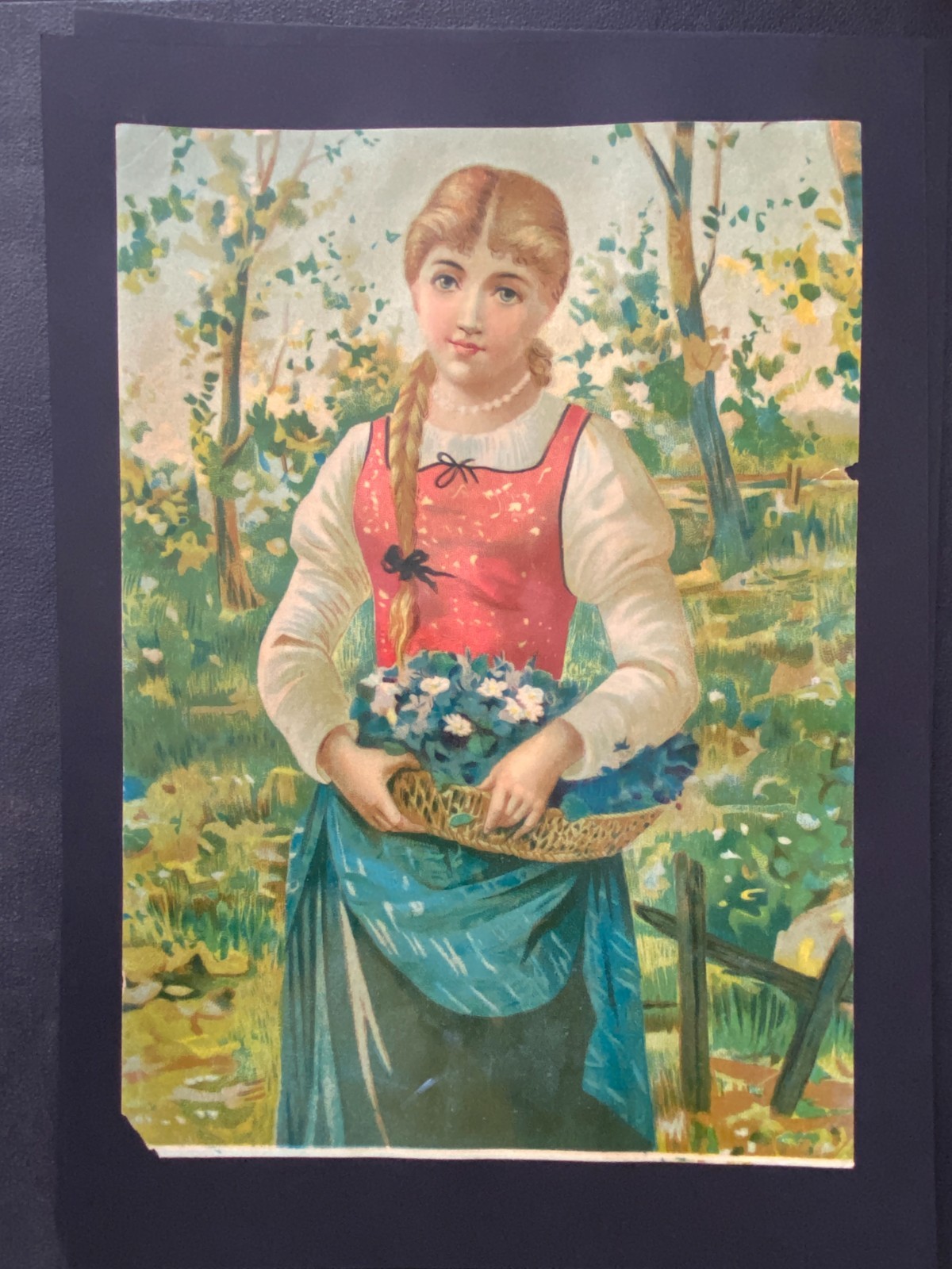 CHROMOS XIXth Century GRD Format 18cm /26cm “Young Girl In The Garden”