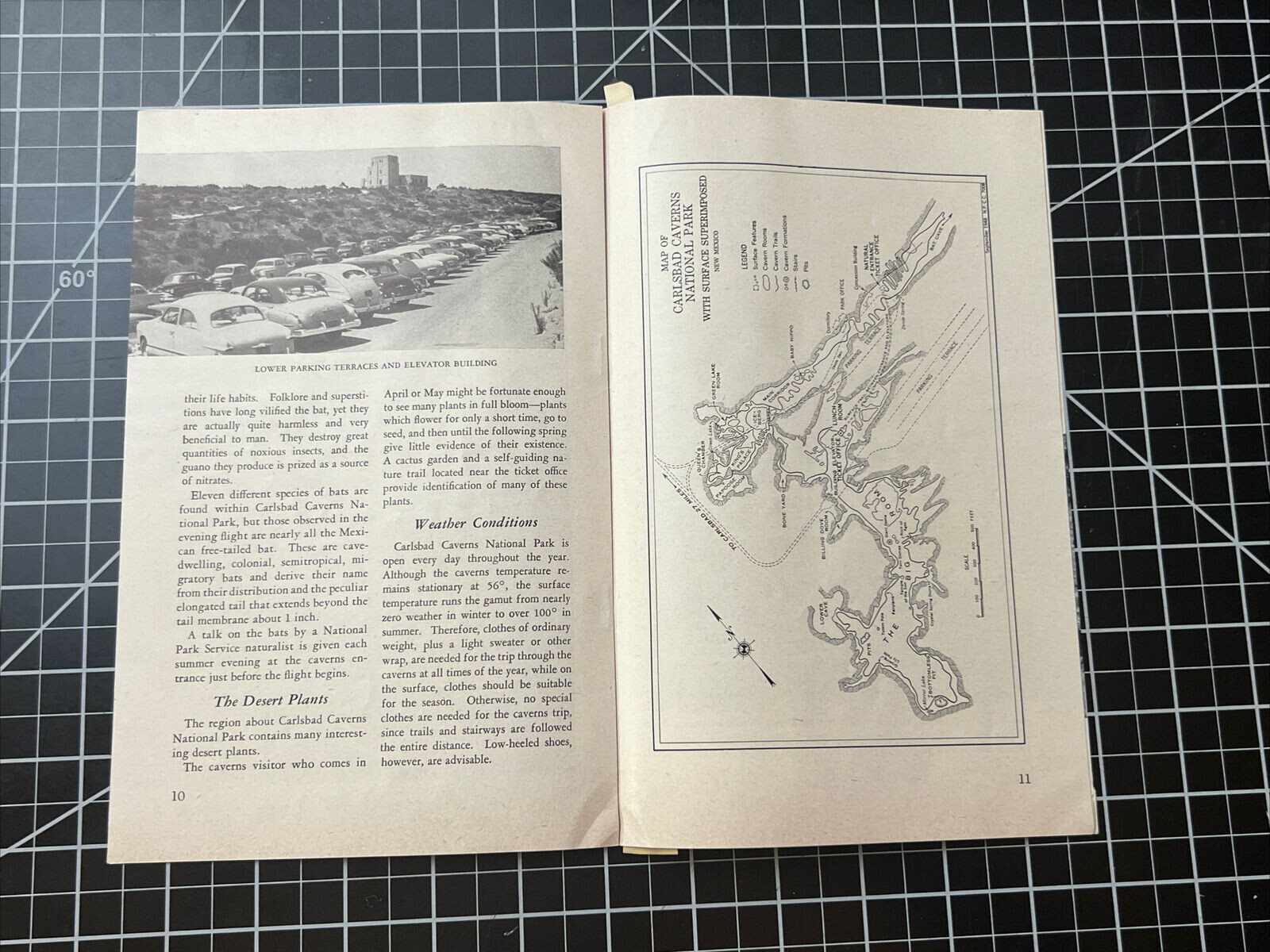 Vintage 1952 Carlsbad Caverns National Park New Mexico Brochure Pamphlet Booklet