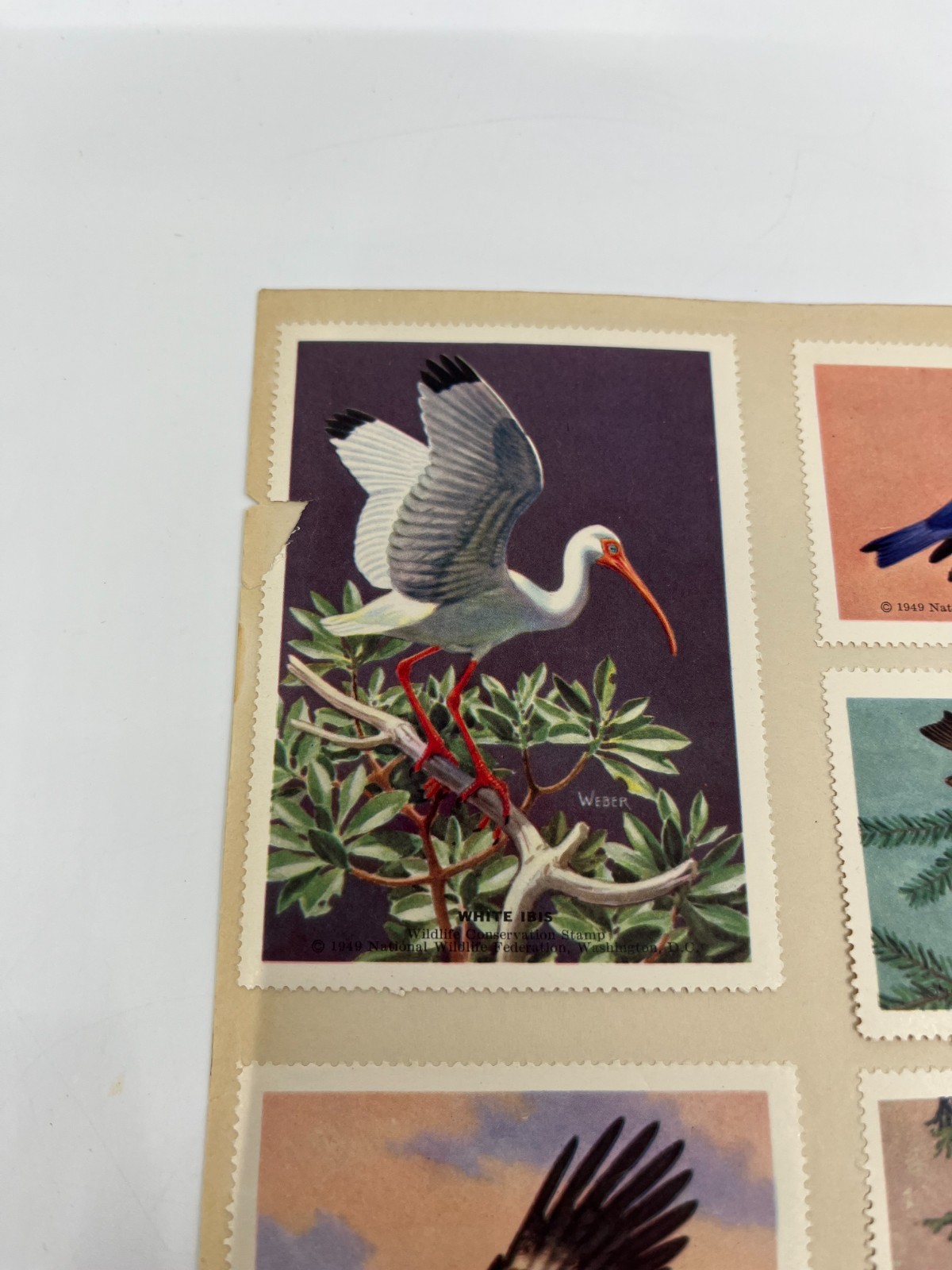 1951 National Wildlife Federation Wildlife Stamp Prints Birds Flowers Stamp Lot