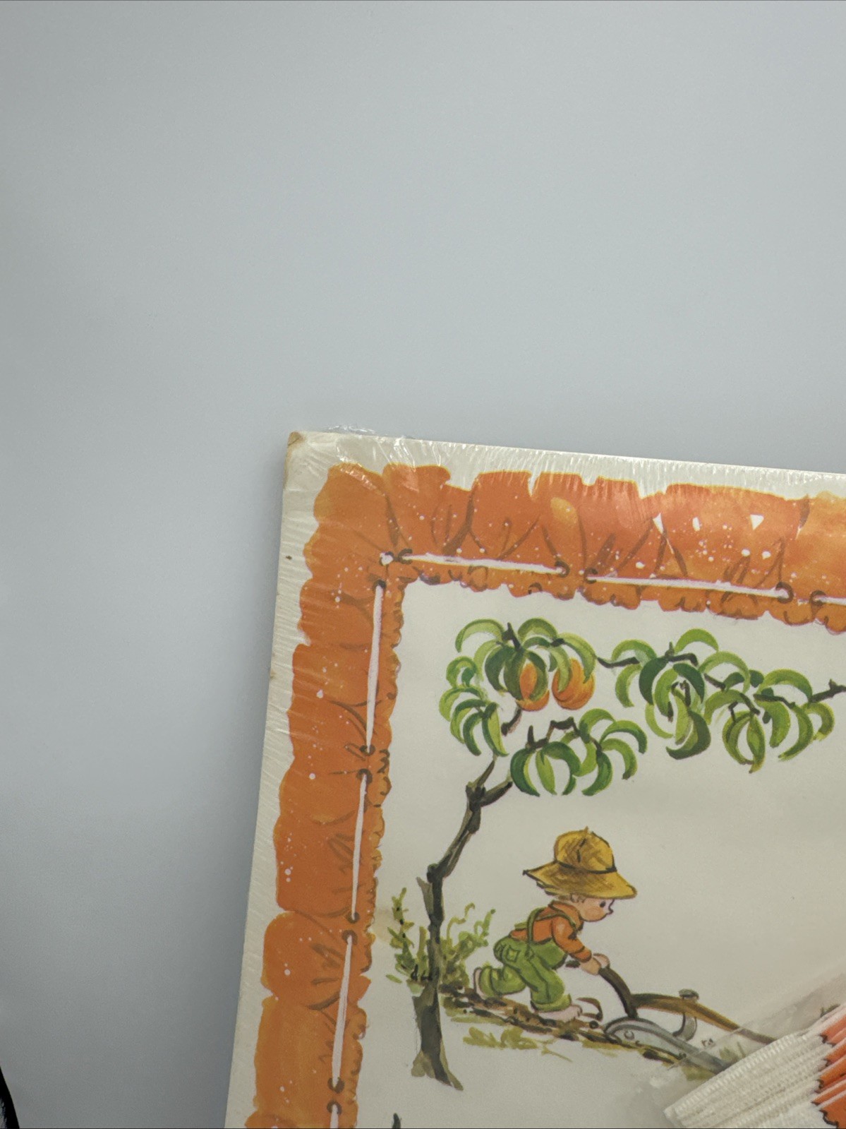 Peaches ‘n’ Cream Disposable Placemats And Matching Napkins Set Of 12 New Vtg