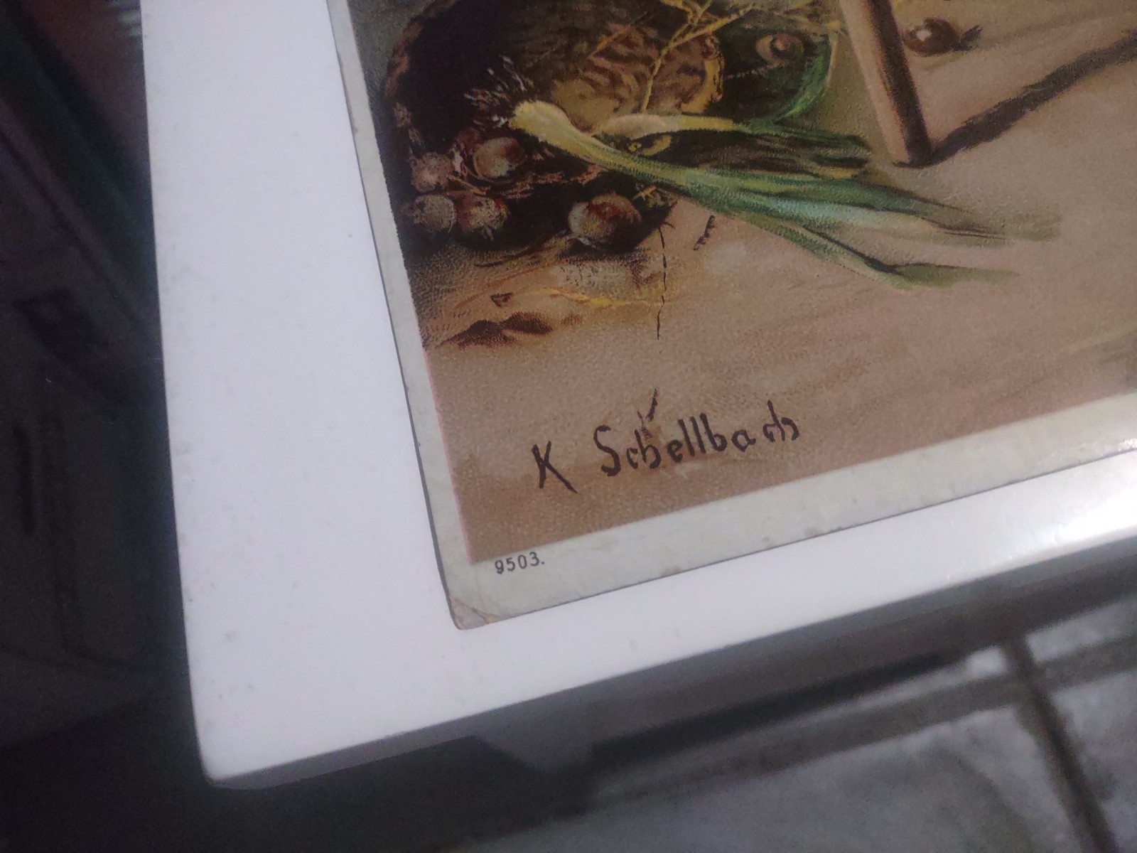 VINTAGE LATE 1800’S CHROMOLITHOGRAPH PRINT K. SCHELLBACH CINDERELLA BIRDS