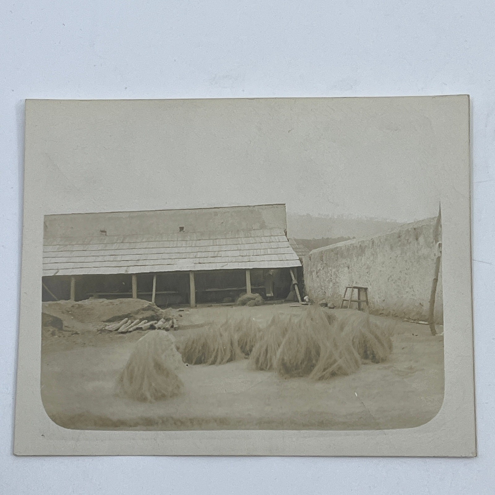 1903 Original Sepia Photograph Drying Zacation Las Vigas Veracruz Mexico AC7