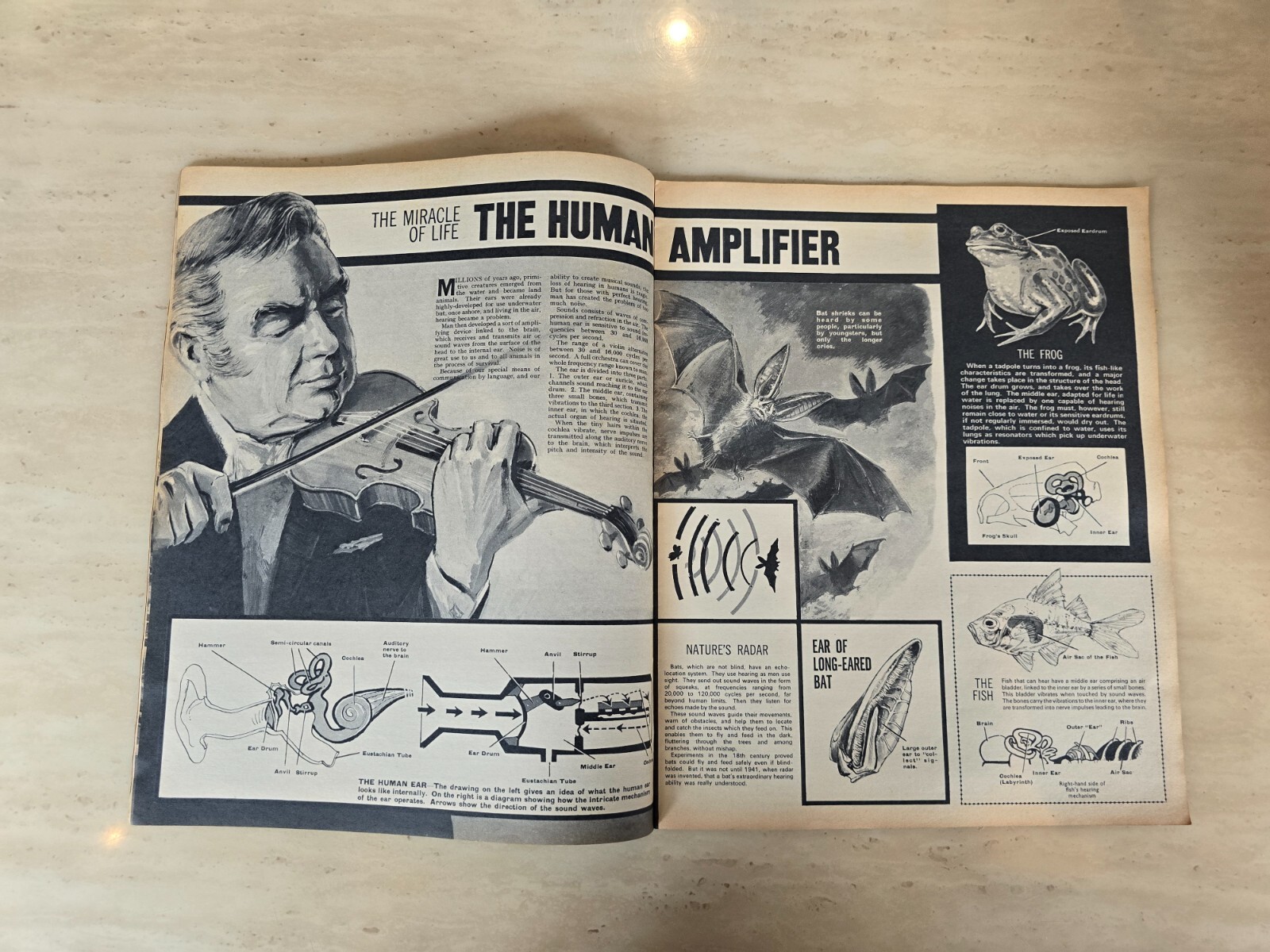 Look and Learn Magazine No. 429, 4th April 1970 IPC Magazine