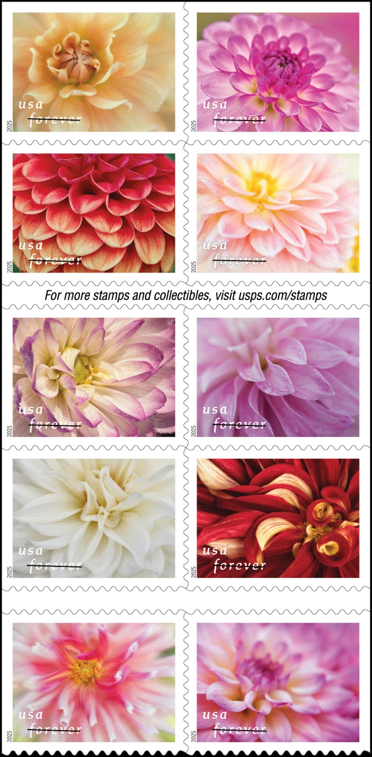 100 stamps 2025 Dahlia Flowers USPS Scott#5992-6001 MNH First Class Stamps